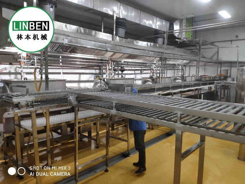 央廚設備 學生餐整套生產(chǎn)線